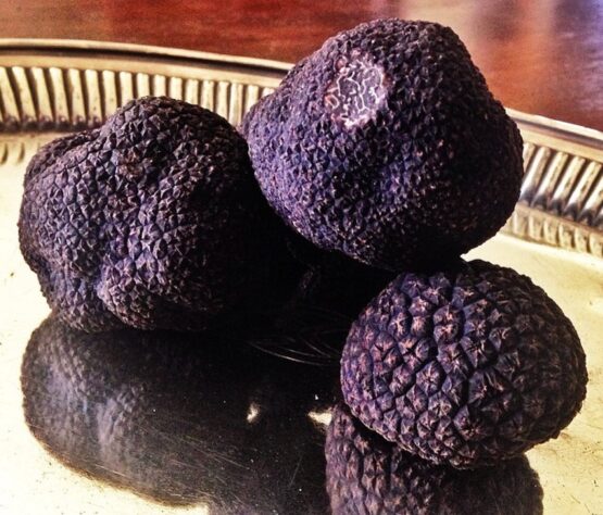 Premium Black Perigord Truffle Trufflemen® 6200